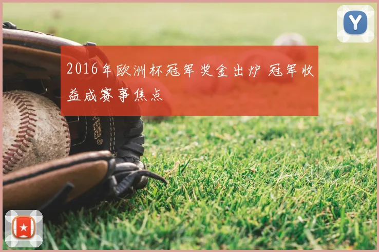 2016年欧洲杯冠军奖金出炉 冠军收益成赛事焦点