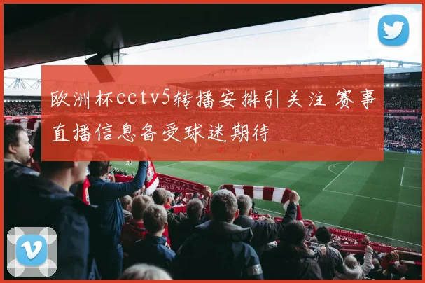 欧洲杯cctv5转播安排引关注 赛事直播信息备受球迷期待