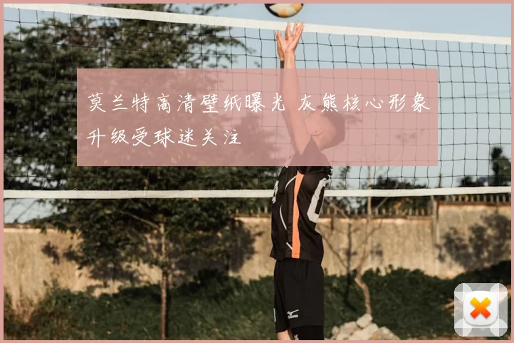 莫兰特高清壁纸曝光 灰熊核心形象升级受球迷关注