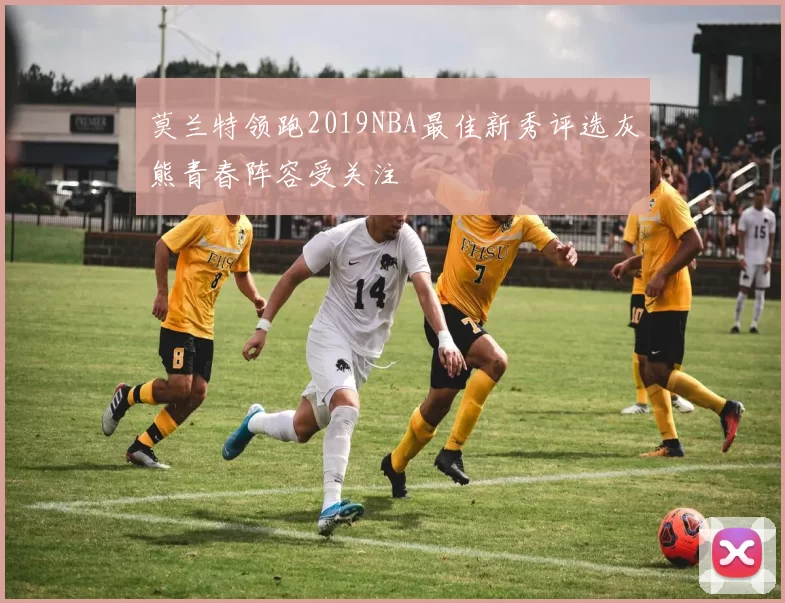 莫兰特领跑2019NBA最佳新秀评选灰熊青春阵容受关注